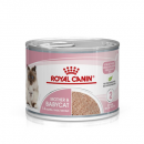 Royal Canin法國皇家-FHN 離乳貓及母貓營養主食罐頭195g